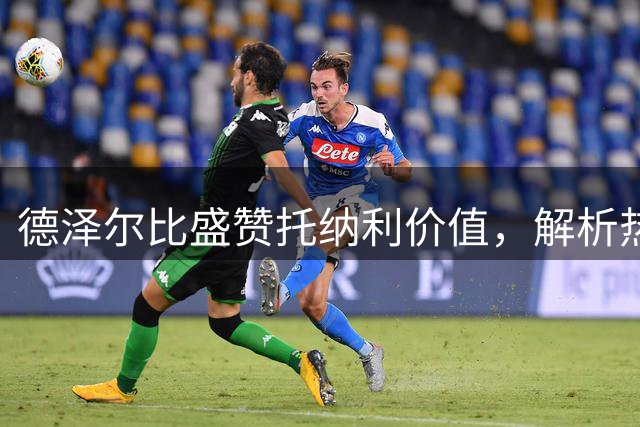 德泽尔比盛赞托纳利价值，解析热刺转会策略